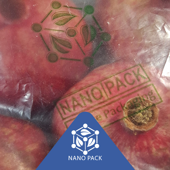 شرکت نانو پک