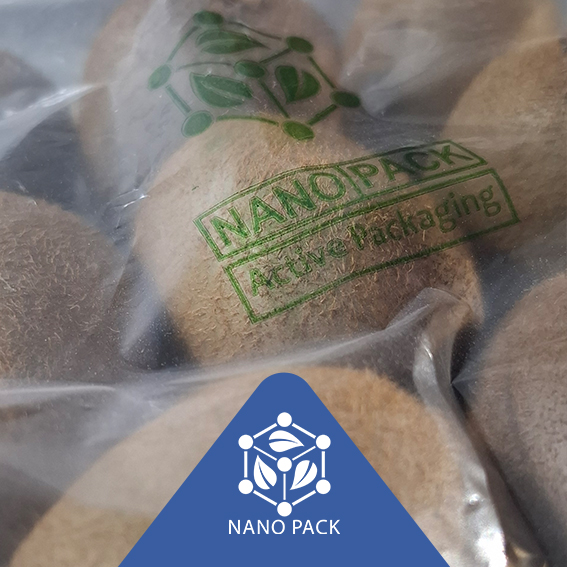 شرکت نانو پک